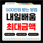 500만원