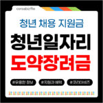 청년 도약장려금