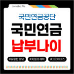 국민연금 납부나이