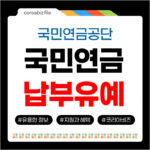 국민연금 납부유예
